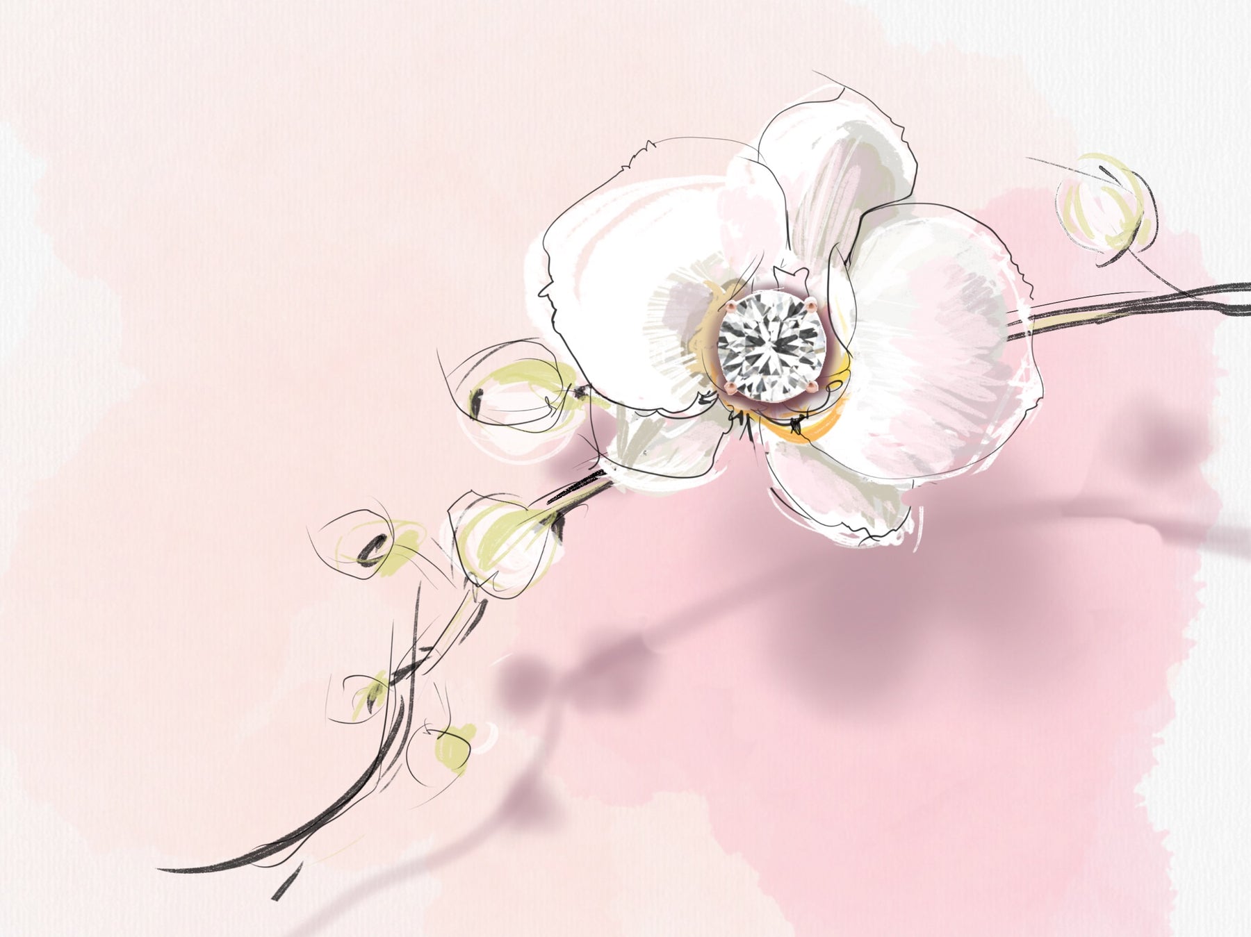 Image of Orchid with Diamond